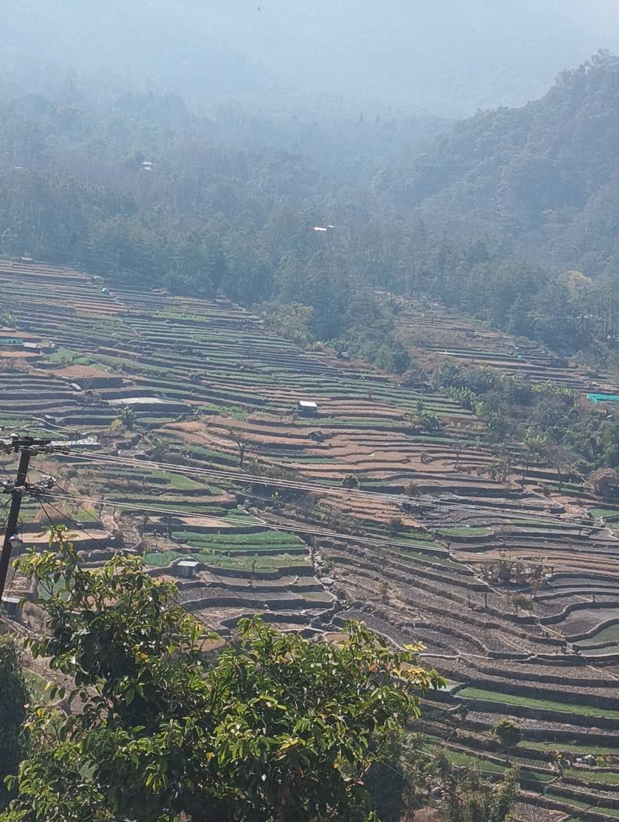 Kushmandi F.L ON SHOP