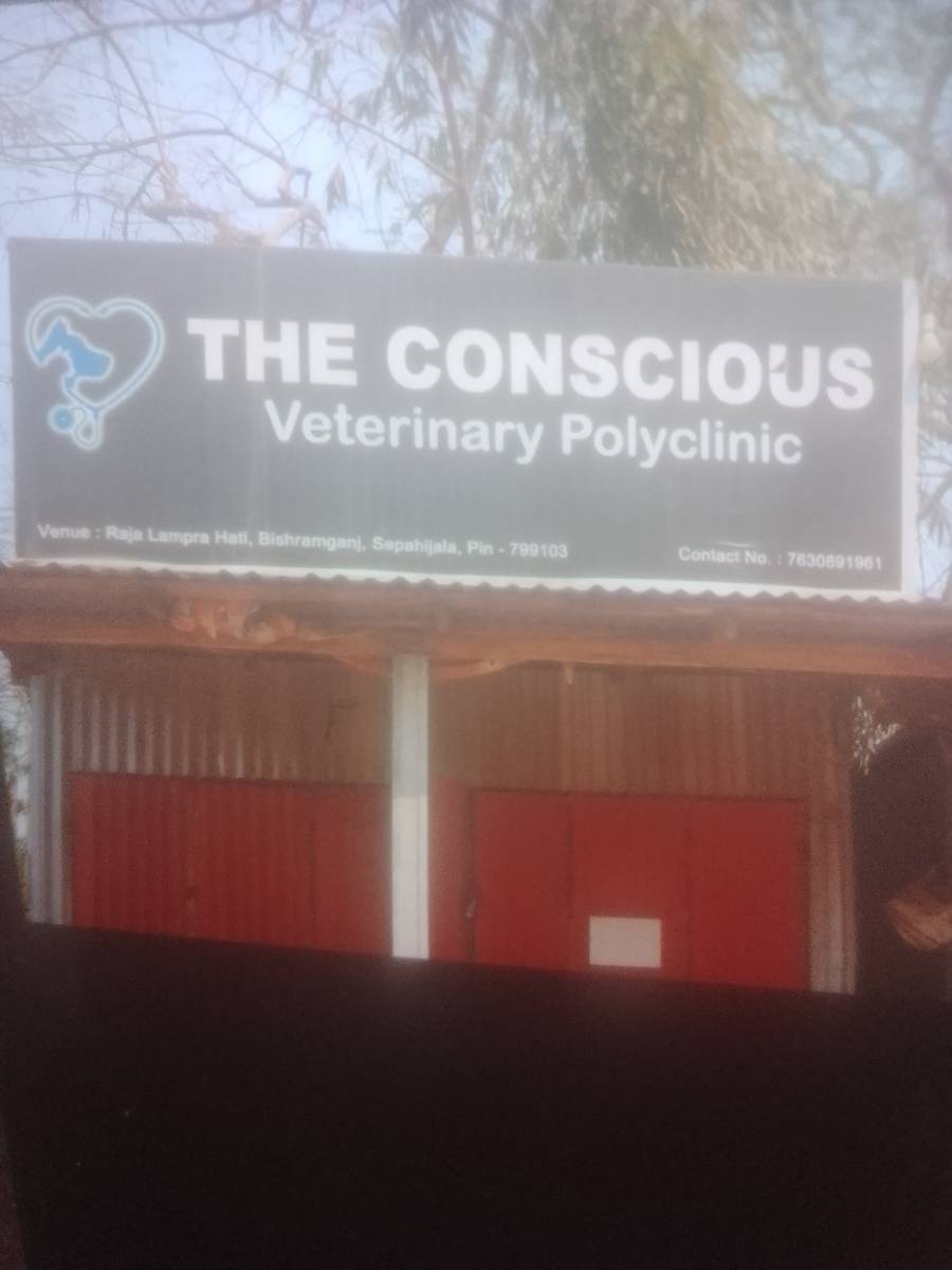 The Conscious (Veterinary Polyclinic)